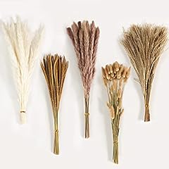 Dried pampas grass for sale  Delivered anywhere in USA 