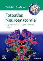 Fotoatlas neuroanatomie gebraucht kaufen  Wird an jeden Ort in Deutschland