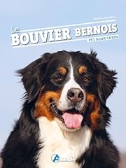 Bouvier bernois d'occasion  Livré partout en France