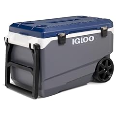 Igloo quart maxcold for sale  Delivered anywhere in USA 