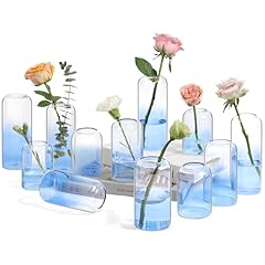 Comsaf small flower for sale  Delivered anywhere in USA 