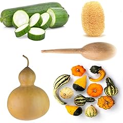 Gourd seeds collection for sale  Delivered anywhere in USA 