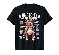 Funny anatomy american for sale  Delivered anywhere in USA 