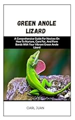 Green anole lizard for sale  Delivered anywhere in USA 