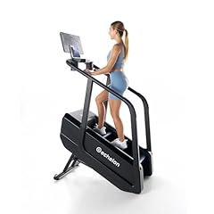 Echelon summit stairmill for sale  Delivered anywhere in USA 