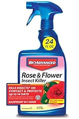 Bioadvanced rose flower for sale  Delivered anywhere in USA 