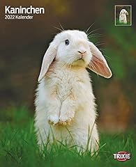 Kalender 2011 kaninchen gebraucht kaufen  Wird an jeden Ort in Deutschland