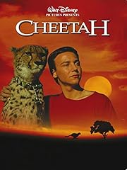 Cheetah for sale  Delivered anywhere in UK