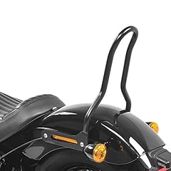 Sissybar harley davidson gebraucht kaufen  Wird an jeden Ort in Deutschland