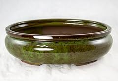 Yubonzai oval glazed for sale  Delivered anywhere in USA 