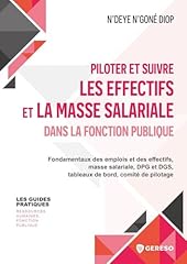 Piloter suivre effectifs d'occasion  Livré partout en France