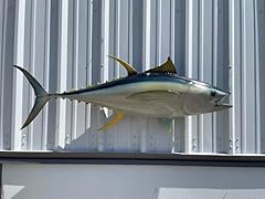 Yellowfin tuna full for sale  Delivered anywhere in USA 