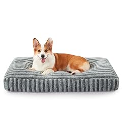 Pawk medium dog for sale  Delivered anywhere in UK