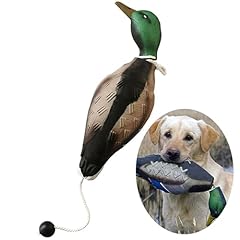 Widesmart dog training usato  Spedito ovunque in Italia 