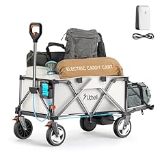 Litheli electric utility for sale  Delivered anywhere in USA 