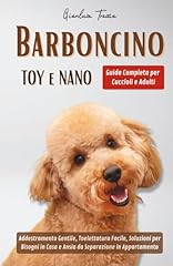 Barboncino toy nano usato  Spedito ovunque in Italia 