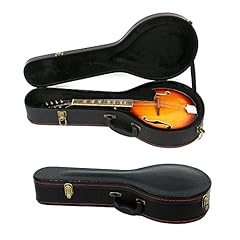 Mandolin hard case for sale  Delivered anywhere in USA 
