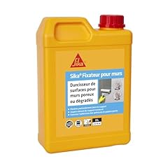 Sika durcisseur surfaces d'occasion  Livré partout en France