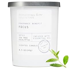 Eucalyptus tea tree for sale  Delivered anywhere in USA 