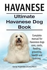 Havanese. ultimate havanese for sale  Delivered anywhere in UK