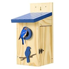 Kingsyard blue bird for sale  Delivered anywhere in USA 