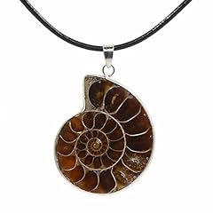 Justinstones natural ammonite for sale  Delivered anywhere in USA 