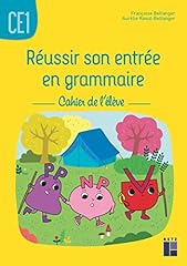 Réussir entrée grammaire d'occasion  Livré partout en France