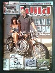 Wild motorcycles ceniza d'occasion  Livré partout en France