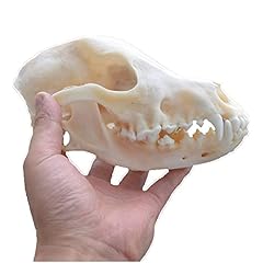 Real animal dog for sale  Delivered anywhere in UK
