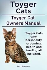 Toyger cats. toyger usato  Spedito ovunque in Italia 