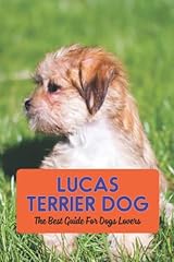 Lucas terrier dog for sale  Delivered anywhere in UK