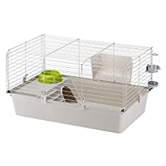 Cavie guinea pig for sale  Delivered anywhere in USA 