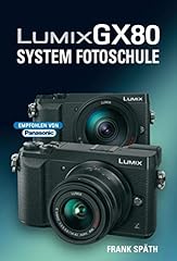 Lumix gx80 system gebraucht kaufen  Wird an jeden Ort in Deutschland