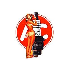 Trooperbay spark plugs for sale  Delivered anywhere in USA 