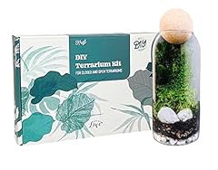 Diy terrarium kit for sale  Delivered anywhere in USA 