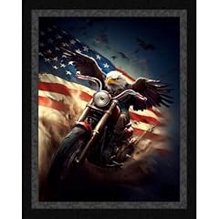 American flyer riding for sale  Delivered anywhere in USA 