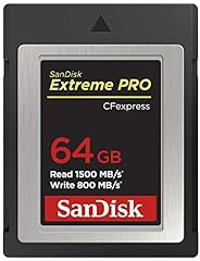 Sandisk 64gb extreme usato  Spedito ovunque in Italia 
