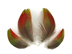 Macaw feathers natural for sale  Delivered anywhere in USA 