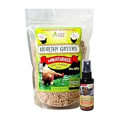 Healthy greens wheatgrass for sale  Delivered anywhere in USA 