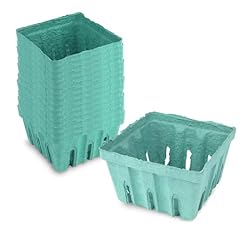 Products green berry for sale  Delivered anywhere in USA 