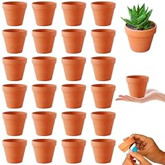 Hiullen 24pcs terracotta for sale  Delivered anywhere in UK