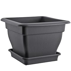 Buri vaso per usato  Spedito ovunque in Italia 