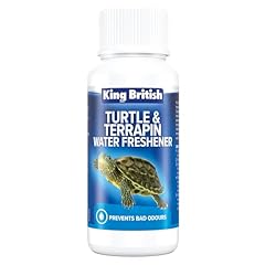 King british turtle for sale  Delivered anywhere in UK