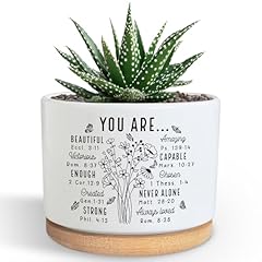 Pzjiean beautiful succulent for sale  Delivered anywhere in USA 