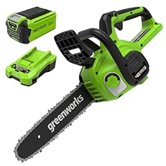 Greenworks g40cs30iik2 motoseg usato  Spedito ovunque in Italia 