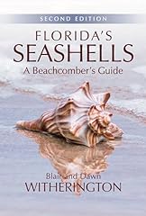 Florida seashells beachcomber for sale  Delivered anywhere in USA 