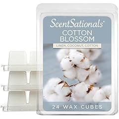 Fusion scentsationals scented for sale  Delivered anywhere in USA 