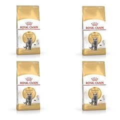 Royal canin british usato  Spedito ovunque in Italia 
