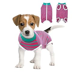 Brkurleg dog recovery for sale  Delivered anywhere in USA 