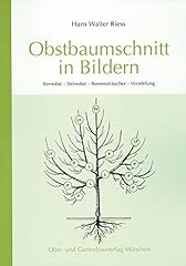 Bstbaumschnitt bildern kernobs gebraucht kaufen  Wird an jeden Ort in Deutschland